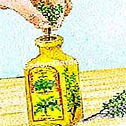 Vendemmia e timo in negozio - (olio) Tenere in olio
