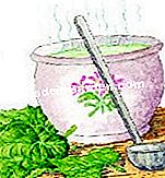 Arroche Hasat - hasat Arroche pişirin