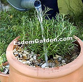 Pasigaminkite aromatinį indelį - aromatinių Laistykite karštą aromatinių medžiagų puodą, pagamintą iš braškių puodo