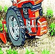 Butter die Kartoffel - (Pinne) Tilling an der Pinne