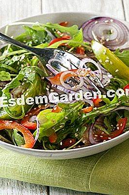 A kertem, az egészségügyi garancia - egészségügyi Nyers zöldségek, vitaminok tartósítva. Photo: