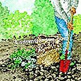カボチャを叩く - () 地面を準備する