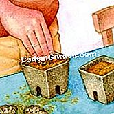 ์๋ฌผ nutgrass - ๊ทธ๋ผ์ค๋ ๊ดด๊ฒฝ์ ์๋์ด์ ๋ฃ์ผ์ญ์์ค.