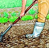 ์๋ฌผ nutgrass - ๊ทธ๋ผ์ค๋ ์ฌ๋ฐฐ๋ฉ๋๋ค ์ง์ ์ค๋น