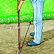 Semina il fagiolo - (semina) Disegno di solchi