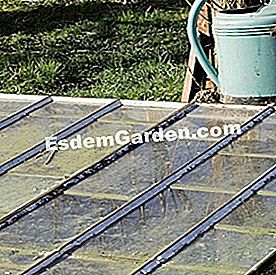 Vetés retek keret alatt - vetés Alváz - F. Marre -esdemgarden.com