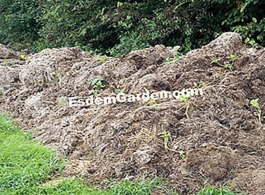 Ihrem Gemüsegarten folgen, eine Frage der Organisation - (folgen) L. Hego - Ecolonia (88) - EsdemGarden