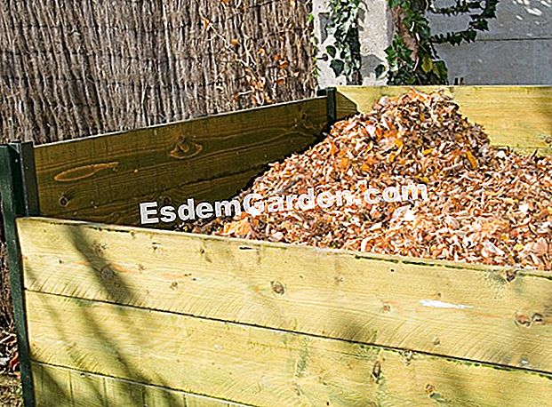 Ihrem Gemüsegarten folgen, eine Frage der Organisation - (organisation) Mulchen - F. Marre - EsdemGarden