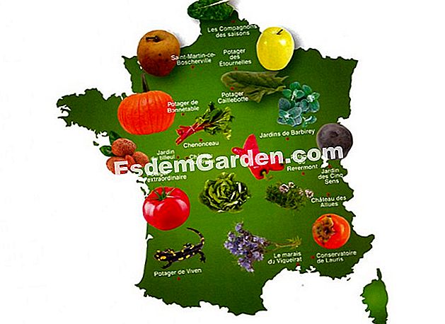 Dove visitare notevoli orti in Francia - (francia) Fotomontaggio: mappa della visita del Tour de France 2017 di alcuni straordinari orti