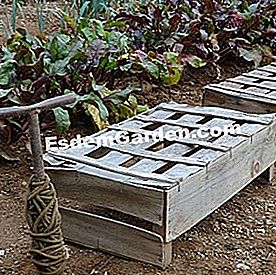 25 Gestos para consumir menos agua en el jardín - (menos) Sombreado de verduras con cajas