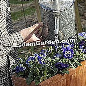 25 Gestos para consumir menos agua en el jardín - (agua) Proteger macetas