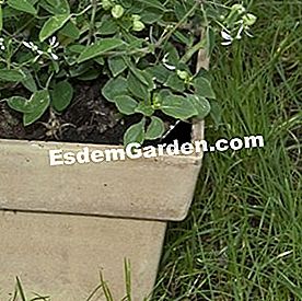 25 Gestos para consumir menos agua en el jardín - (agua) EsdemGarden