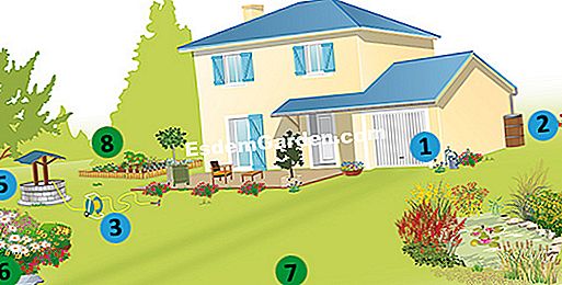 25 Gestos para consumir menos agua en el jardín - (menos) 25 Gestos para consumir menos agua en el jardín: gestos