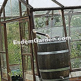 25 Gestos para consumir menos agua en el jardín - (gestos) Recuperación de agua de lluvia