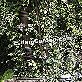 25 Gestos para consumir menos agua en el jardín - (menos) Bien con su bomba de mano