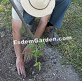 25 Gestos para consumir menos agua en el jardín - (para) Usa bien la pendiente para retener el agua