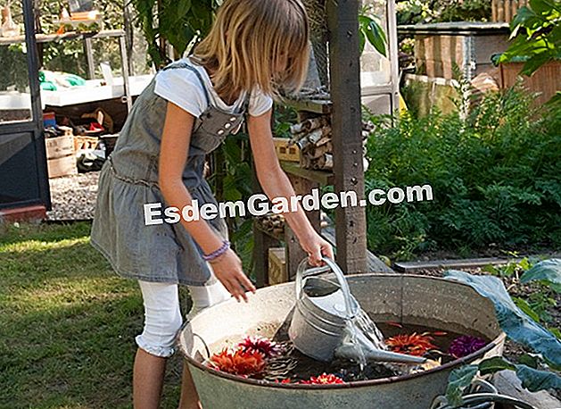 25 Gestos para consumir menos agua en el jardín - (menos) Niña tomando agua en una lavadora de zinc