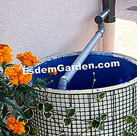 Design udare gradina - (gradina) Recuperatorul de apă