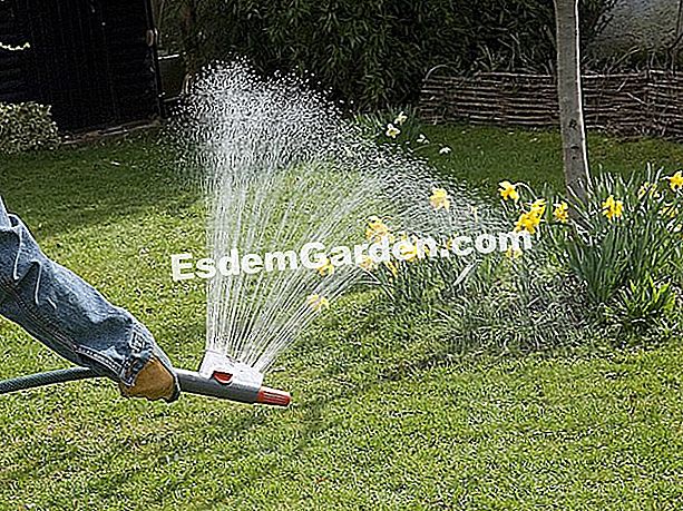 Bagaimana untuk menyiram rumput, pepejal, batu, tambak...: 8 contoh situasi yang diuraikan