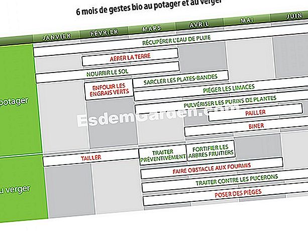 Memo de grădinărit organic din ianuarie până în iunie: gesturile bune din grădină sau din livadă - (grădinărit) Calendarul gesturilor organice din grădina de legume și livadă din ianuarie până în iunie